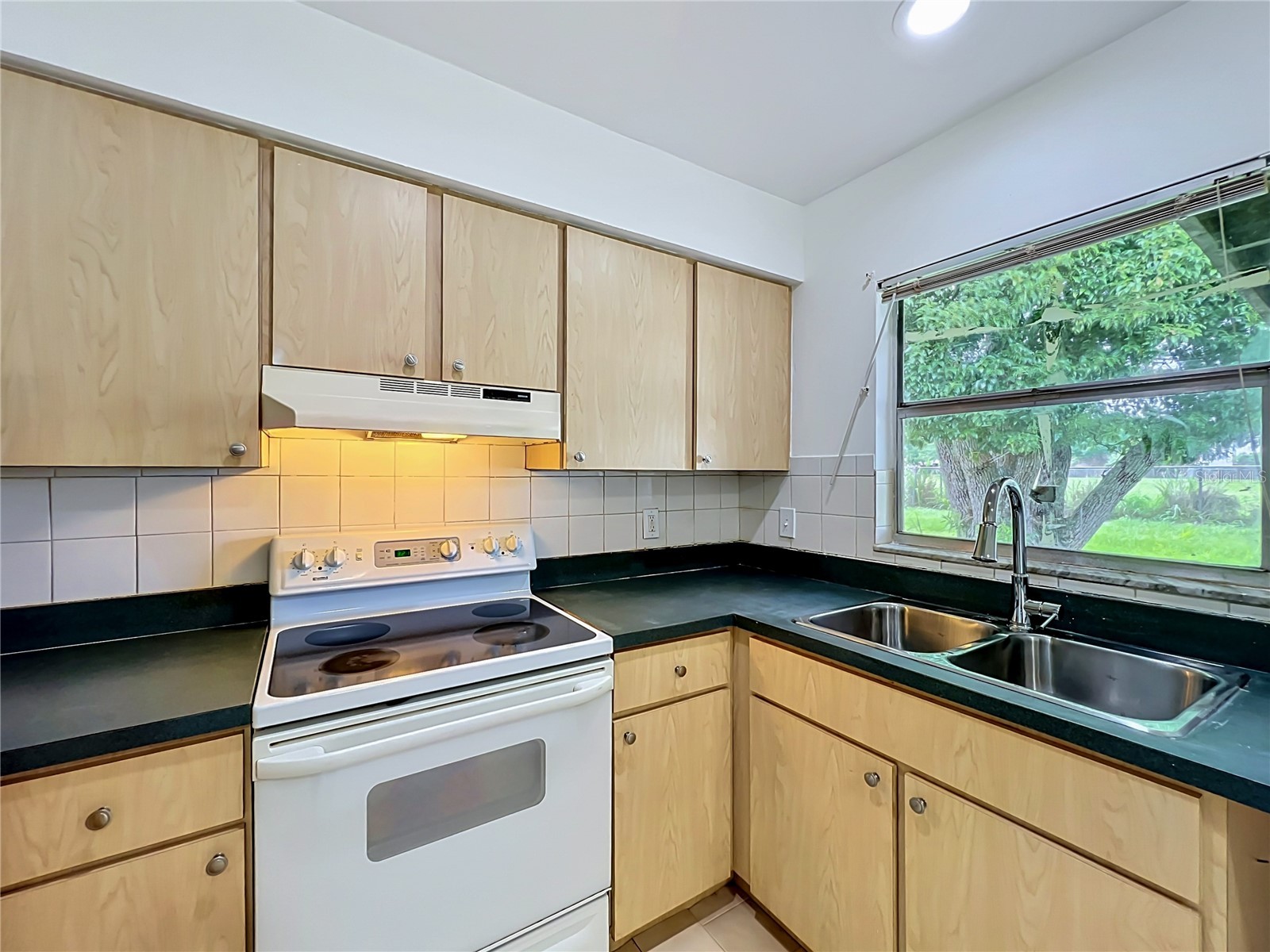 7701 Coot Street Orlando FL 32822 O6413257 image8