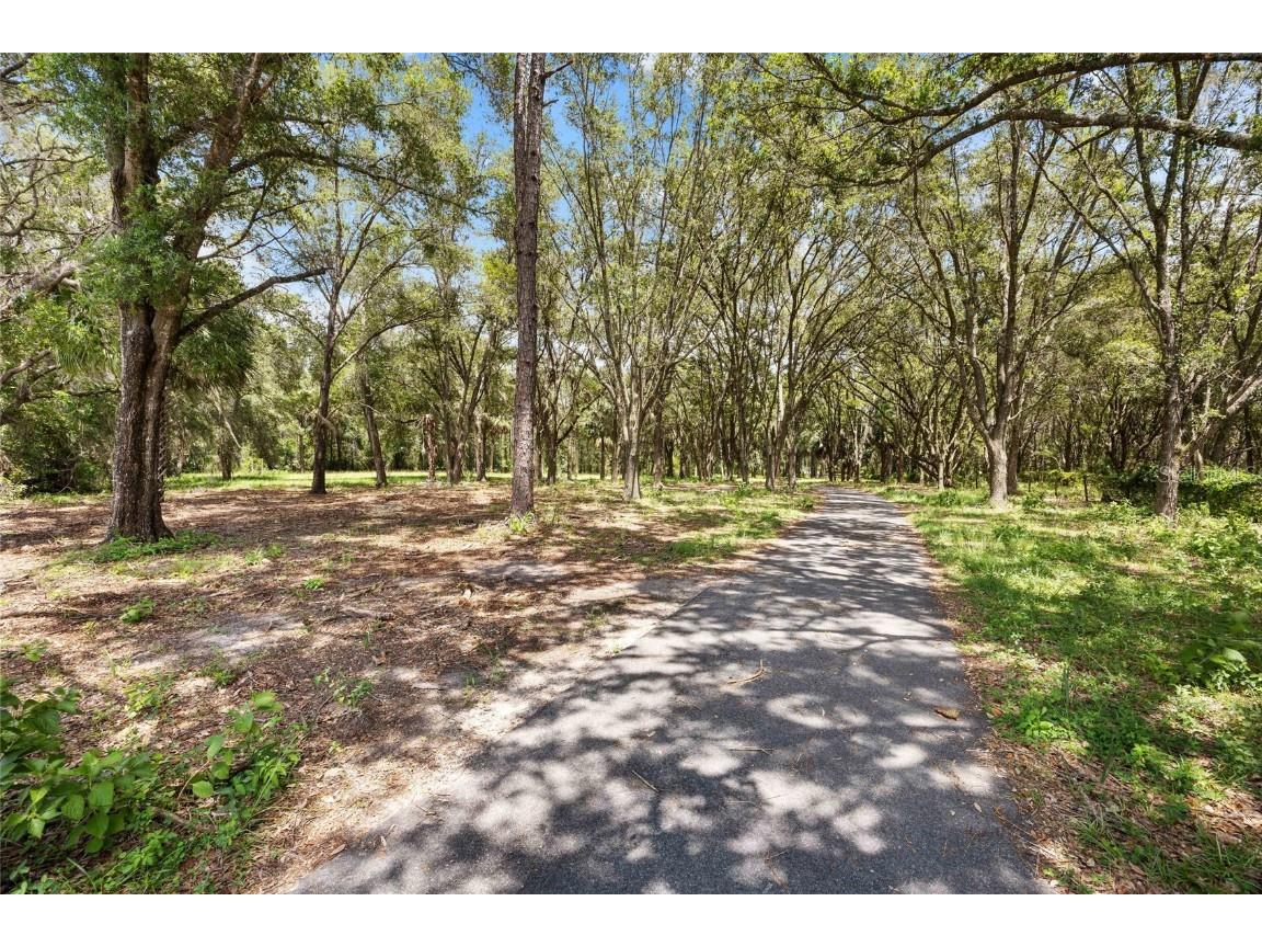 7701 SE 170th Avenue Road Ocklawaha FL 32179 - LAKE BESSIOLA G5100869 image3