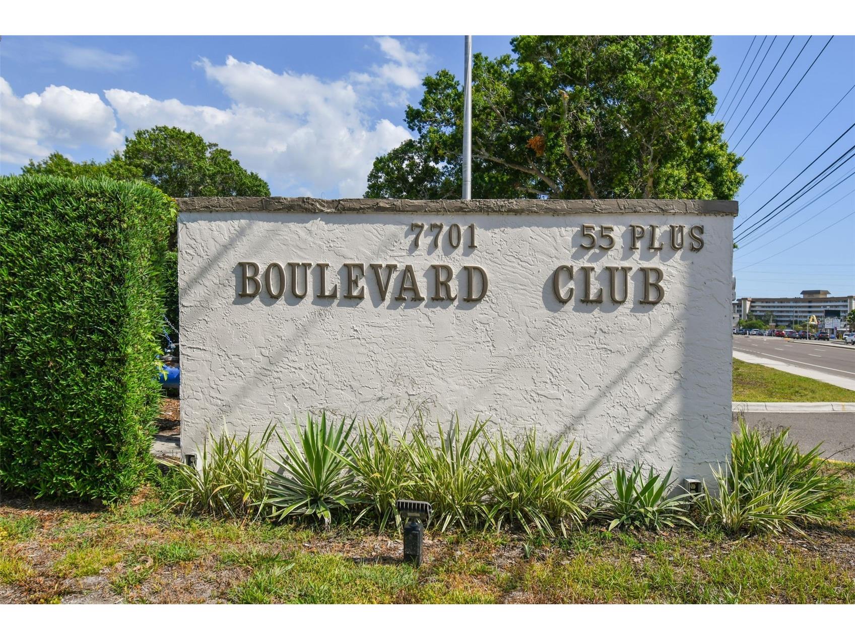 7701 Starkey Road #105 Seminole FL 33777 TB8342811 image6