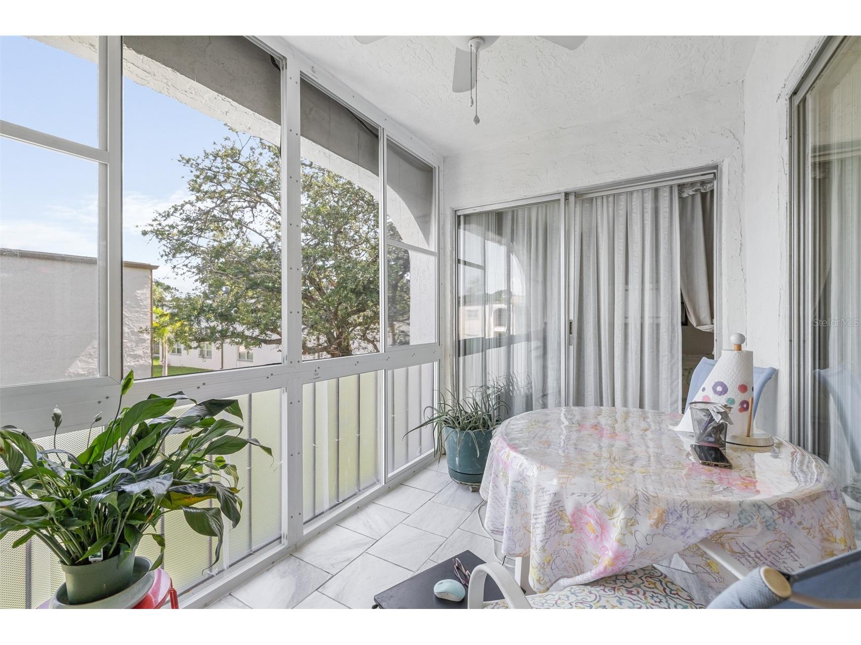 7701 Starkey Road #528 Seminole FL 33777 TB8532080 image14
