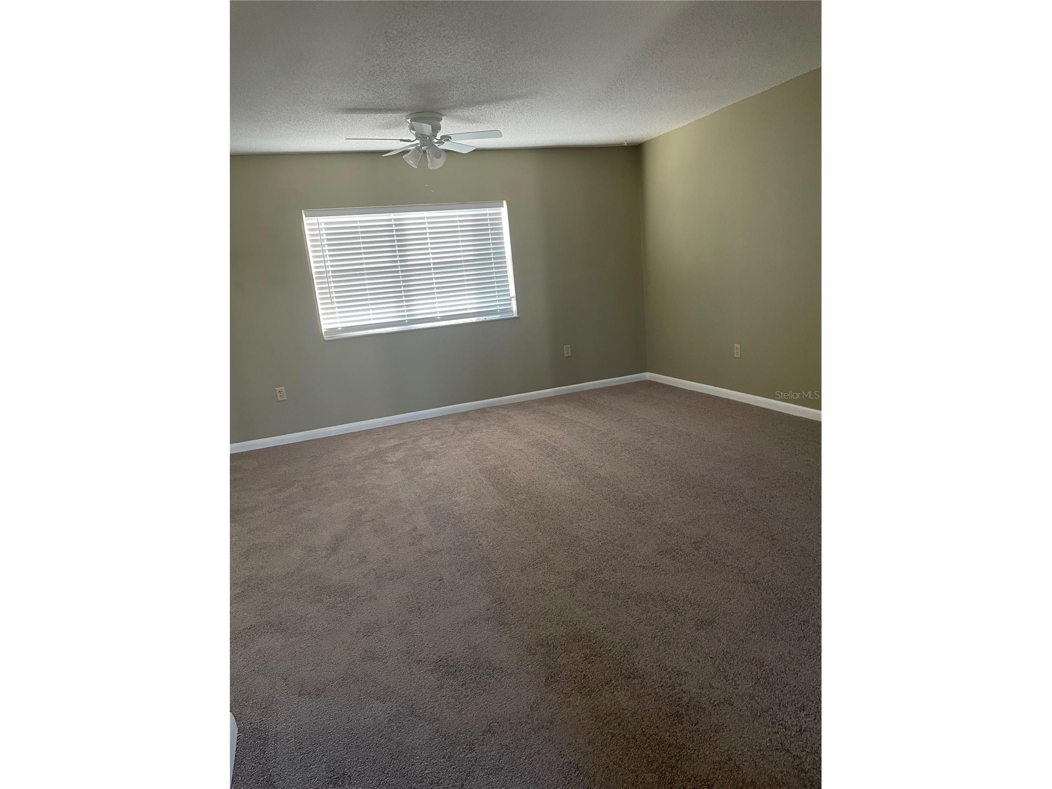 7701 Starkey Road #622 Seminole FL 33777 TB8479877 image4