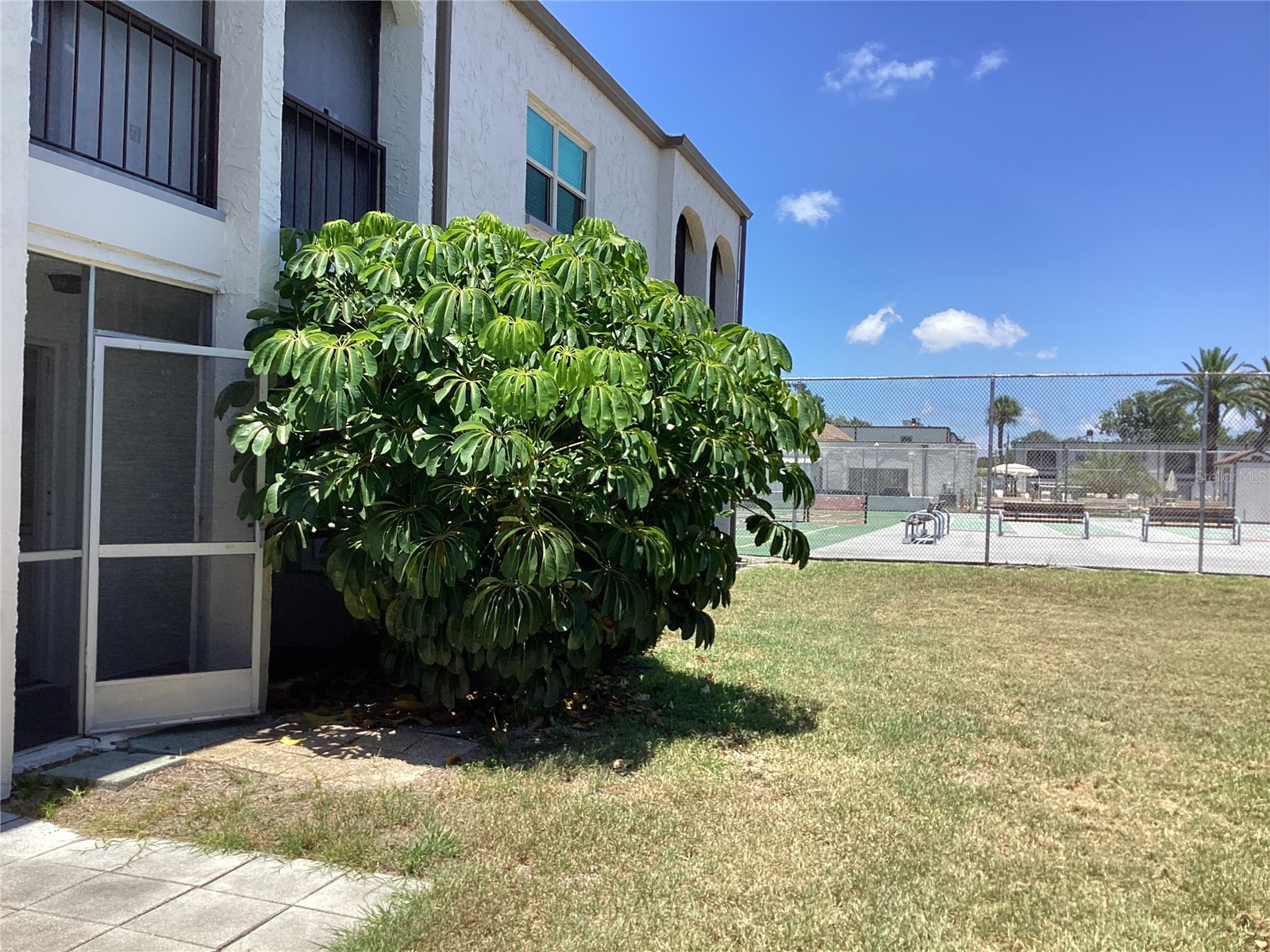 7701 Starkey Road #703 Seminole FL 33777 TB8523701 image16