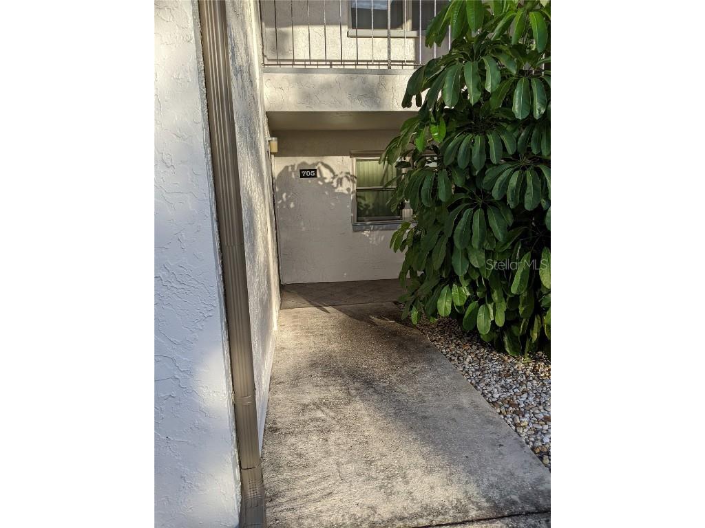 7701 Starkey Road #705 Seminole FL 33777 U8152329 image1