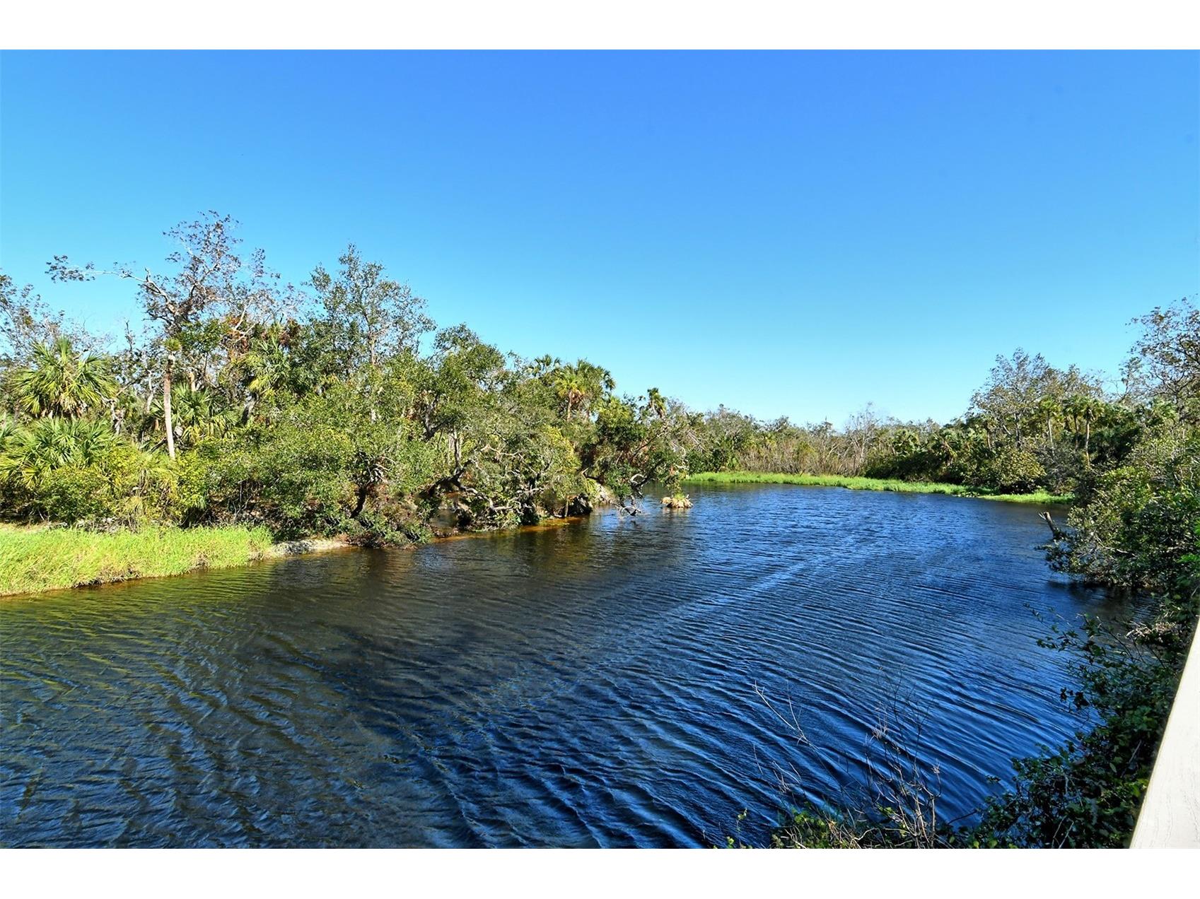 7702 Rio Bella Place Bradenton FL 34201 - BRADEN RIVER A4688061 image62