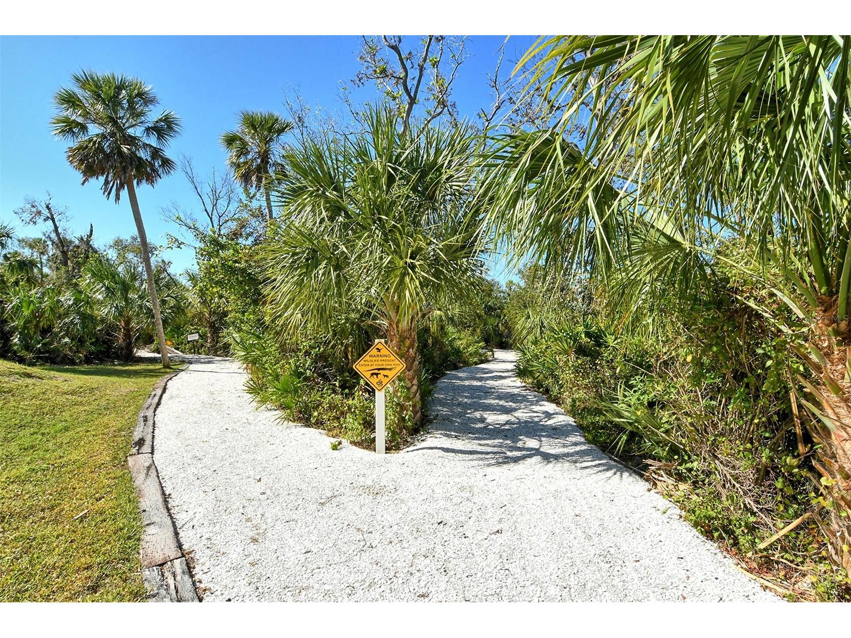 7702 Rio Bella Place Bradenton FL 34201 - BRADEN RIVER A4688061 image65