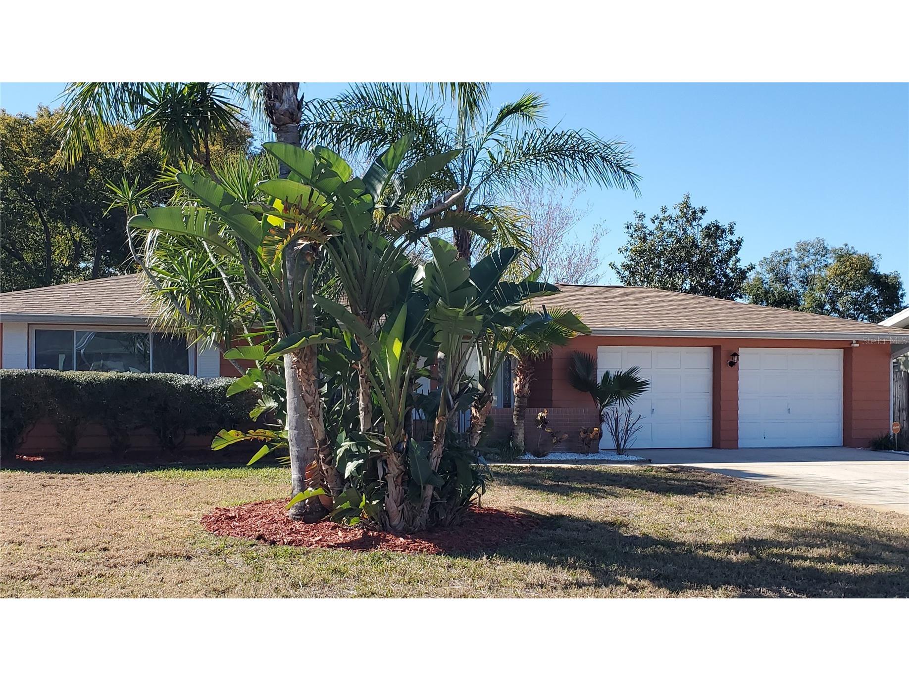 7702 Rosewood Drive Port Richey FL 34668 TB8473510 image3