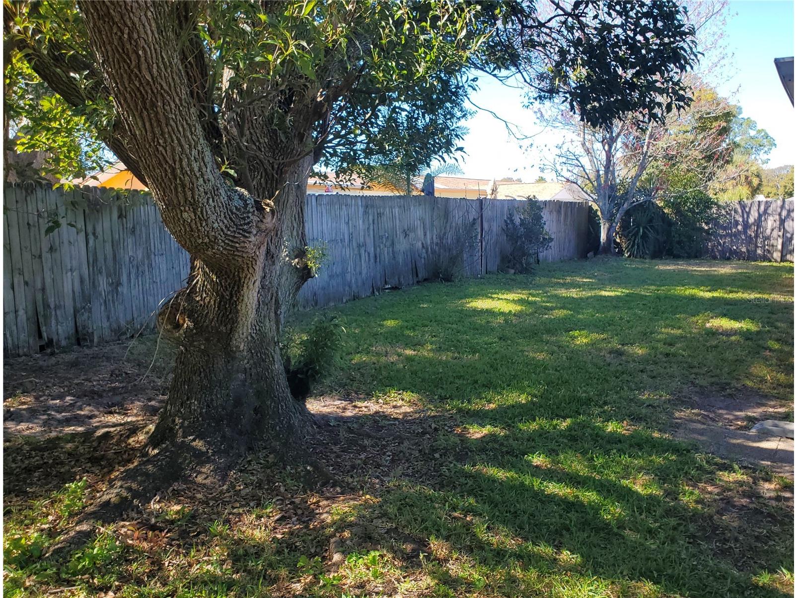 7702 Rosewood Drive Port Richey FL 34668 TB8473510 image38