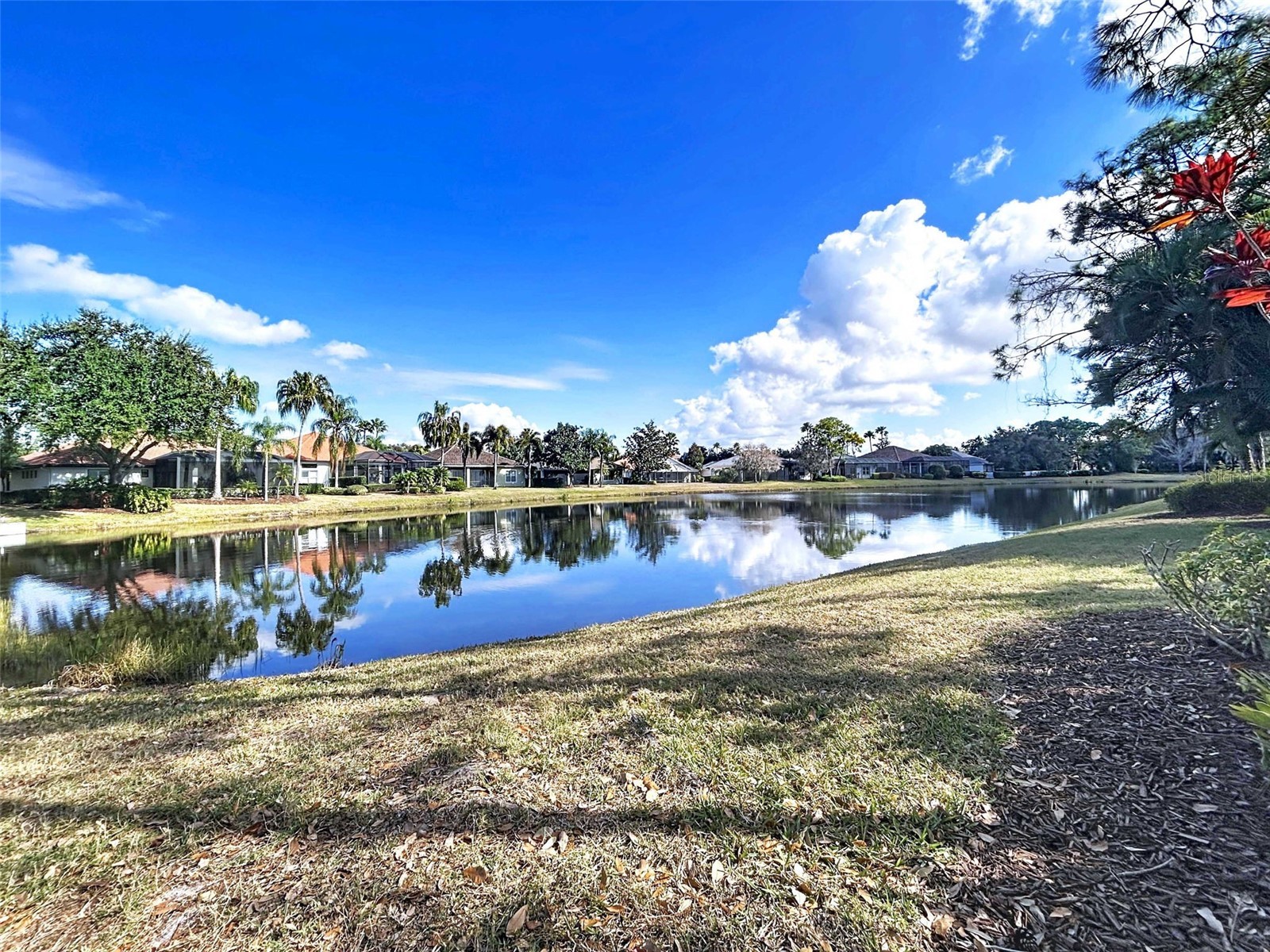 7703 British Open Way Lakewood Ranch FL 34202 TB8480236 image44