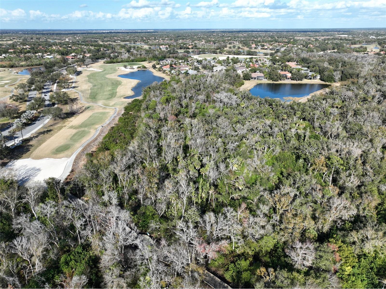 7703 British Open Way Lakewood Ranch FL 34202 TB8480236 image60
