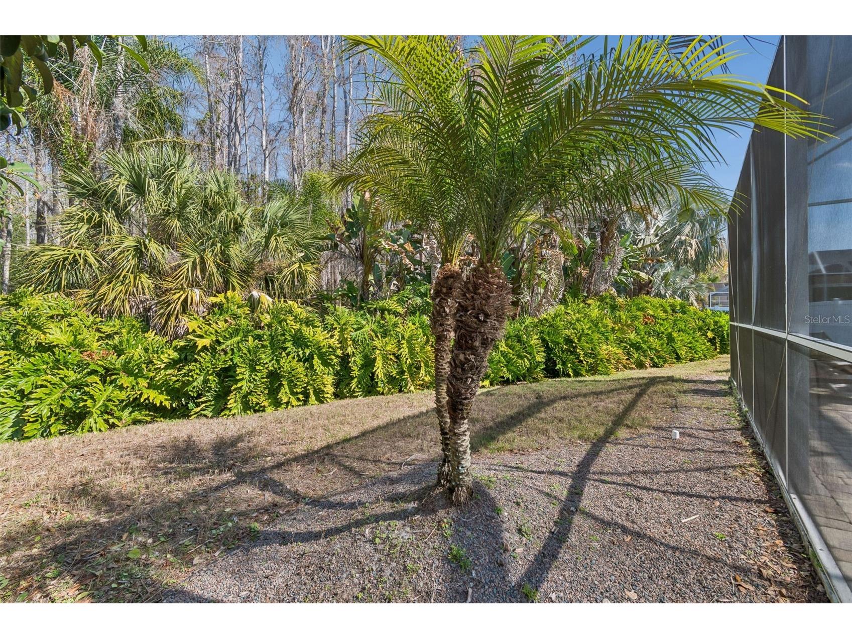 7703 Northaven Place New Port Richey FL 34655 TB8482884 image57