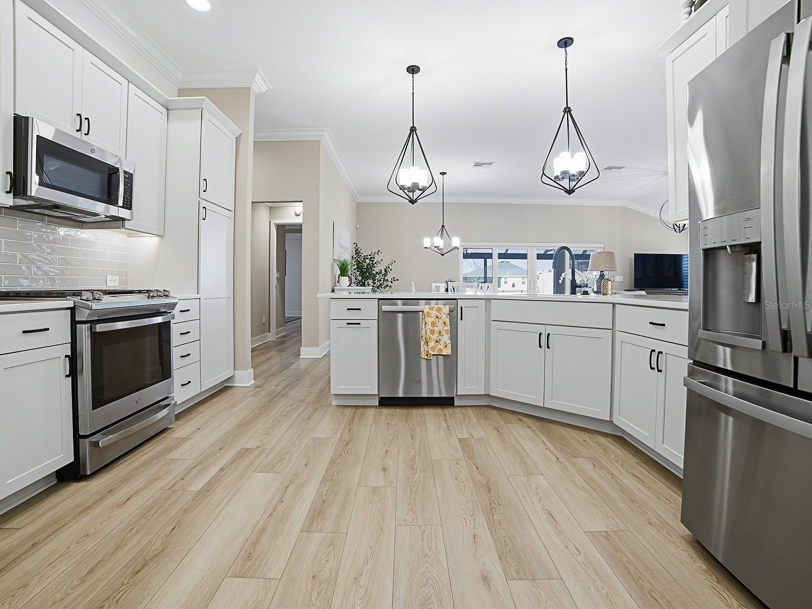 7704 Brian Etheredge Way The Villages FL 34762 G5108239 image14
