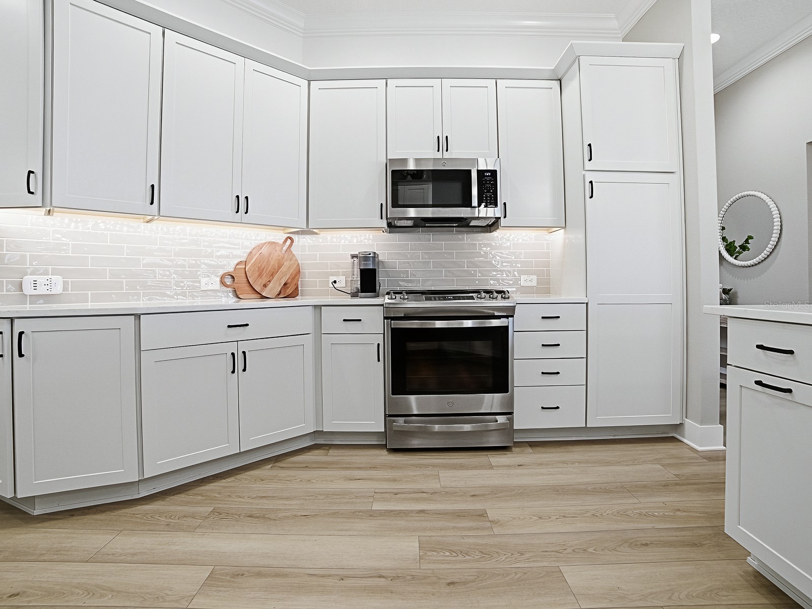 7704 Brian Etheredge Way The Villages FL 34762 G5108239 image15