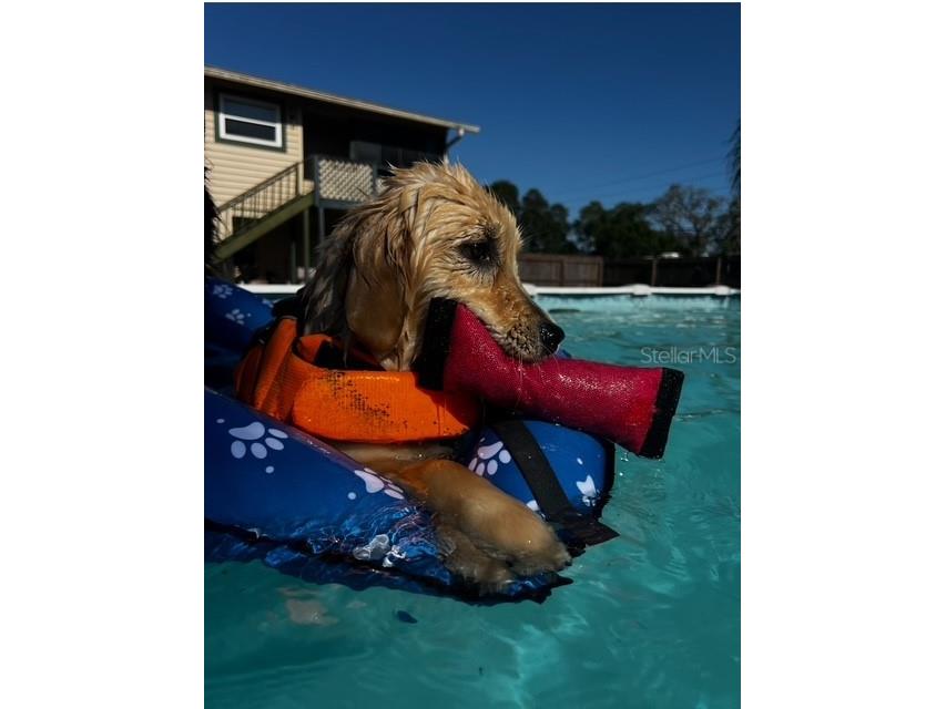 7705 Gardner Road Tampa FL 33625 TB8390525 image16