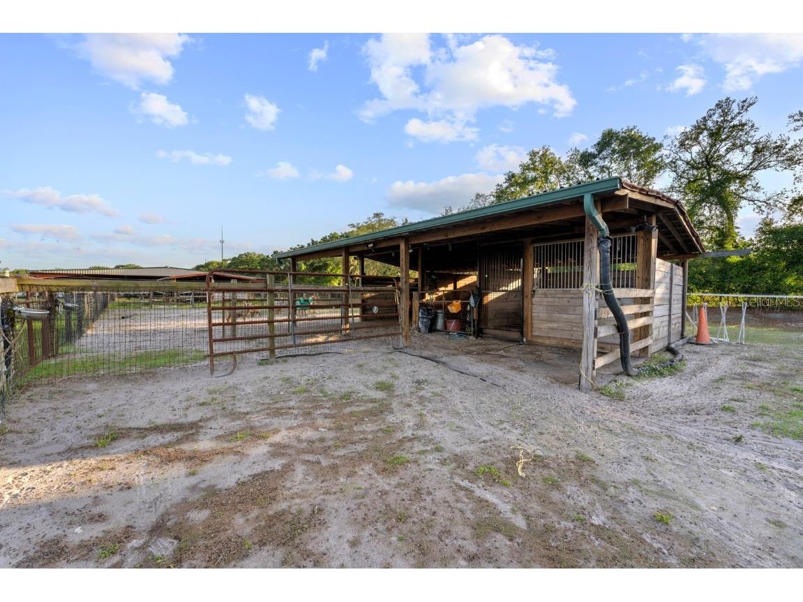 7705 Gardner Road Tampa FL 33625 TB8390525 image21