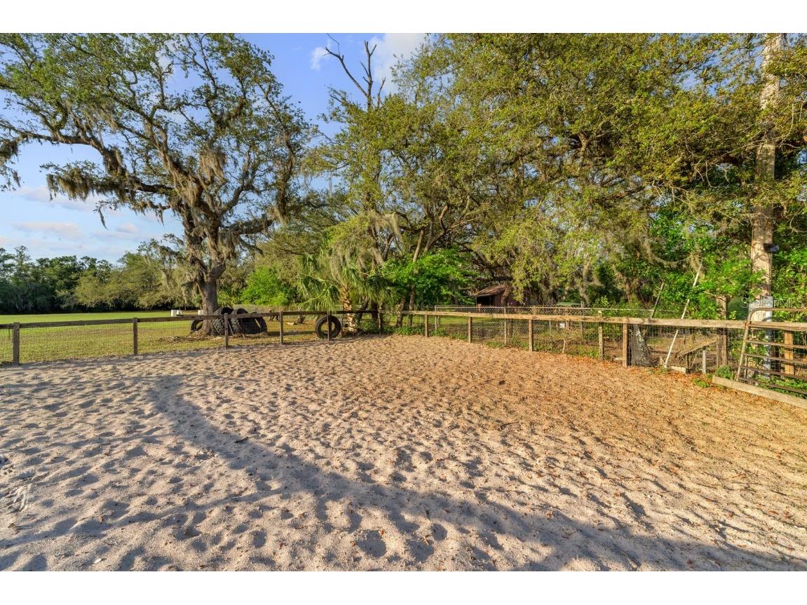 7705 Gardner Road Tampa FL 33625 TB8390525 image24