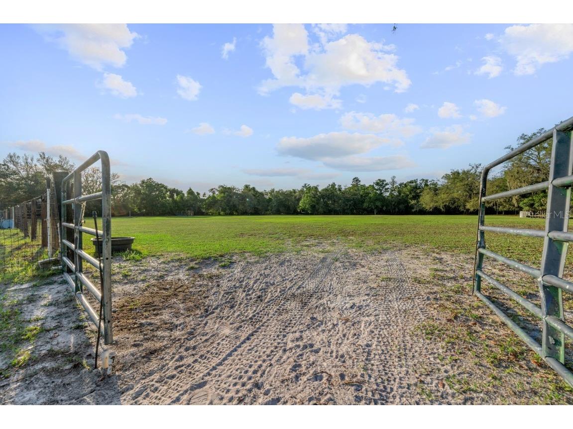 7705 Gardner Road Tampa FL 33625 TB8390525 image26