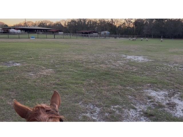 7705 Gardner Road Tampa FL 33625 TB8390525 image31