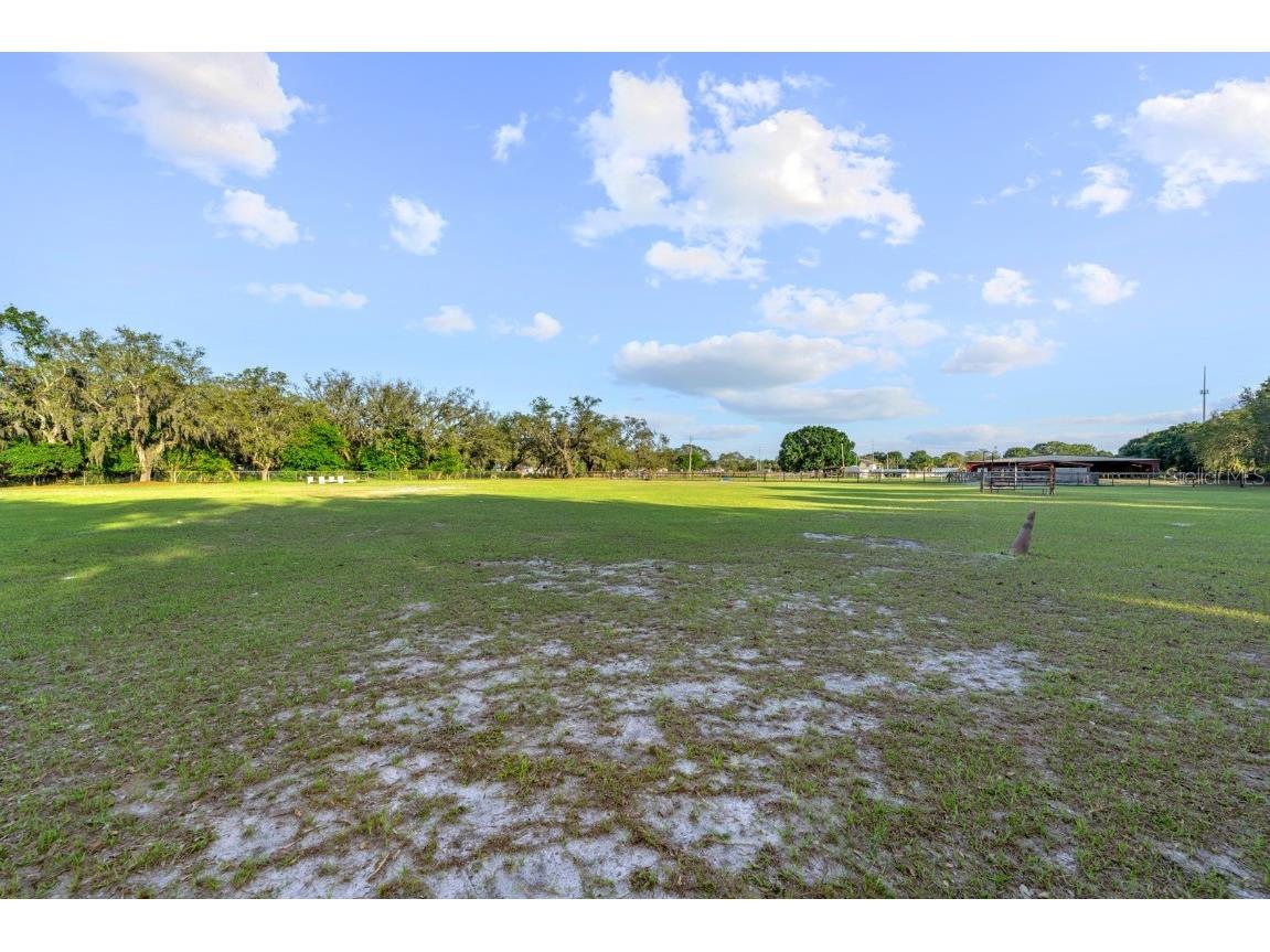 7705 Gardner Road Tampa FL 33625 TB8390525 image34