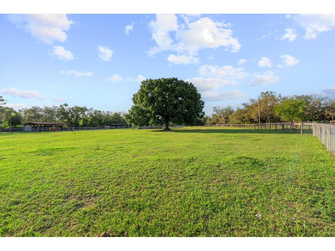 7705 Gardner Road Tampa FL 33625 TB8390525 image35