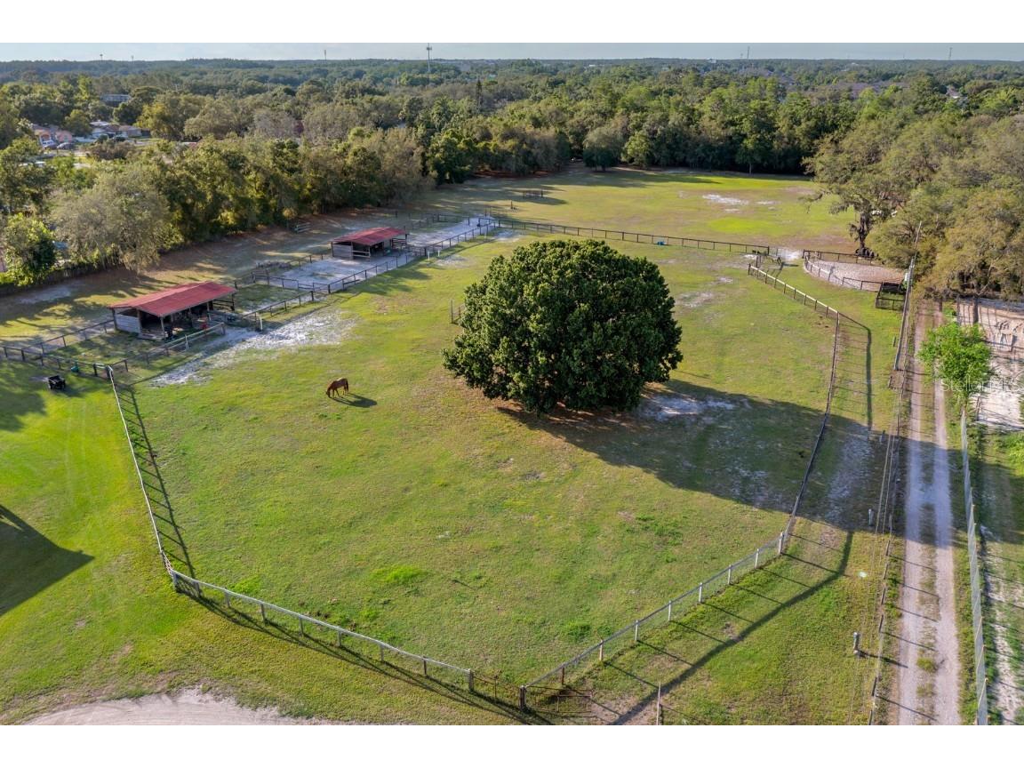 7705 Gardner Road Tampa FL 33625 TB8390525 image36