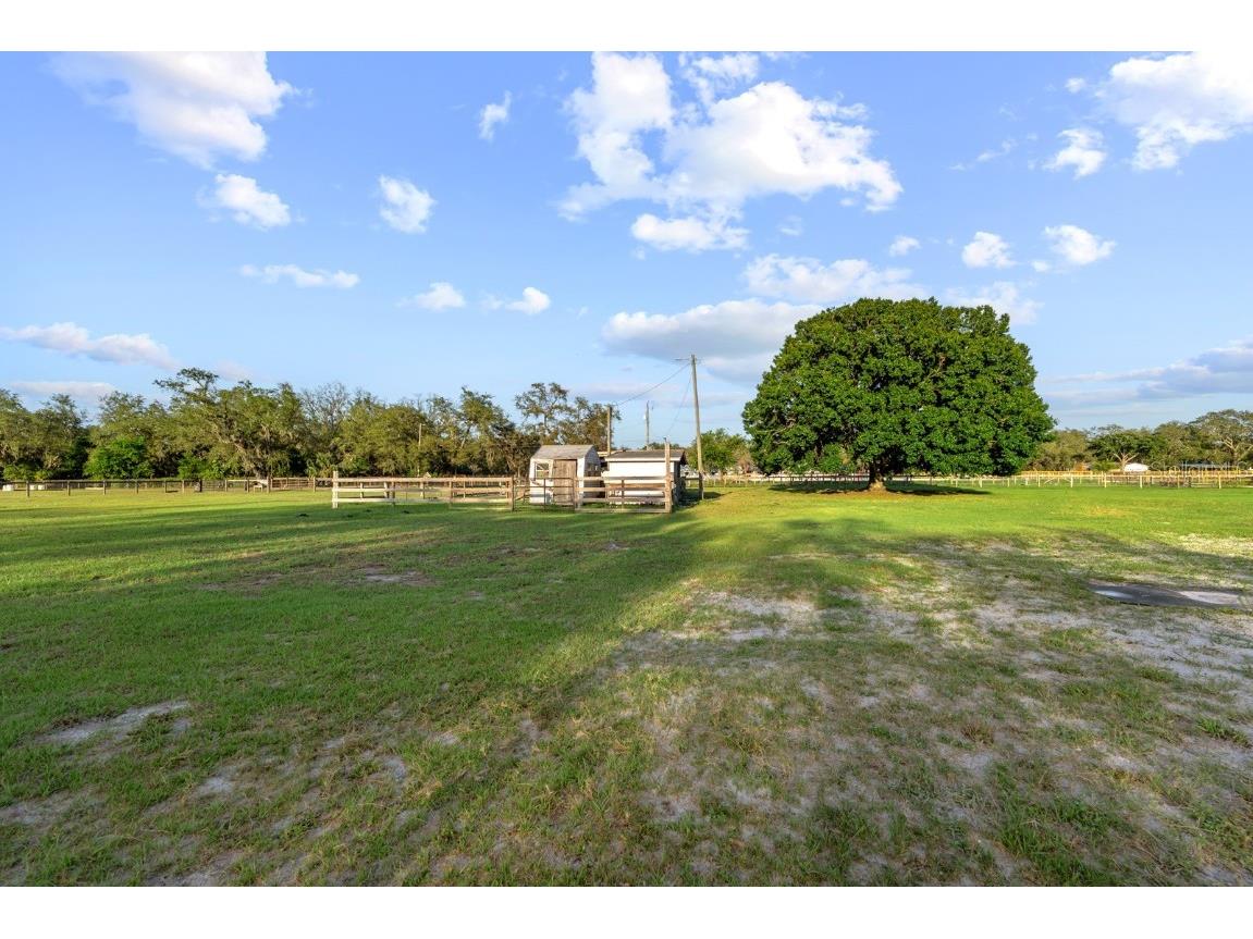 7705 Gardner Road Tampa FL 33625 TB8390525 image37