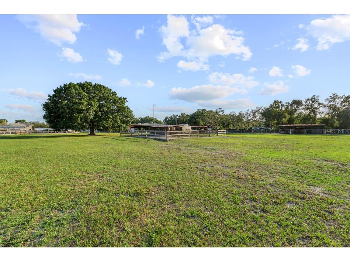 7705 Gardner Road Tampa FL 33625 TB8390525 image38