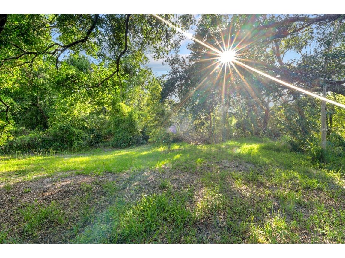 7705 Gardner Road Tampa FL 33625 TB8390525 image39