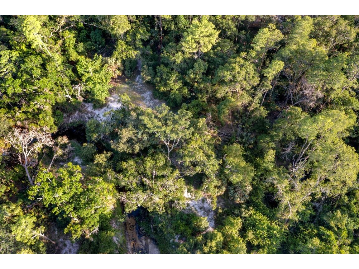 7705 Gardner Road Tampa FL 33625 TB8390525 image40