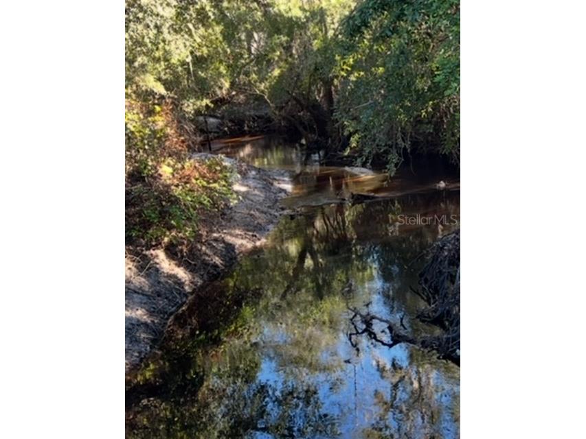 7705 Gardner Road Tampa FL 33625 TB8390525 image41