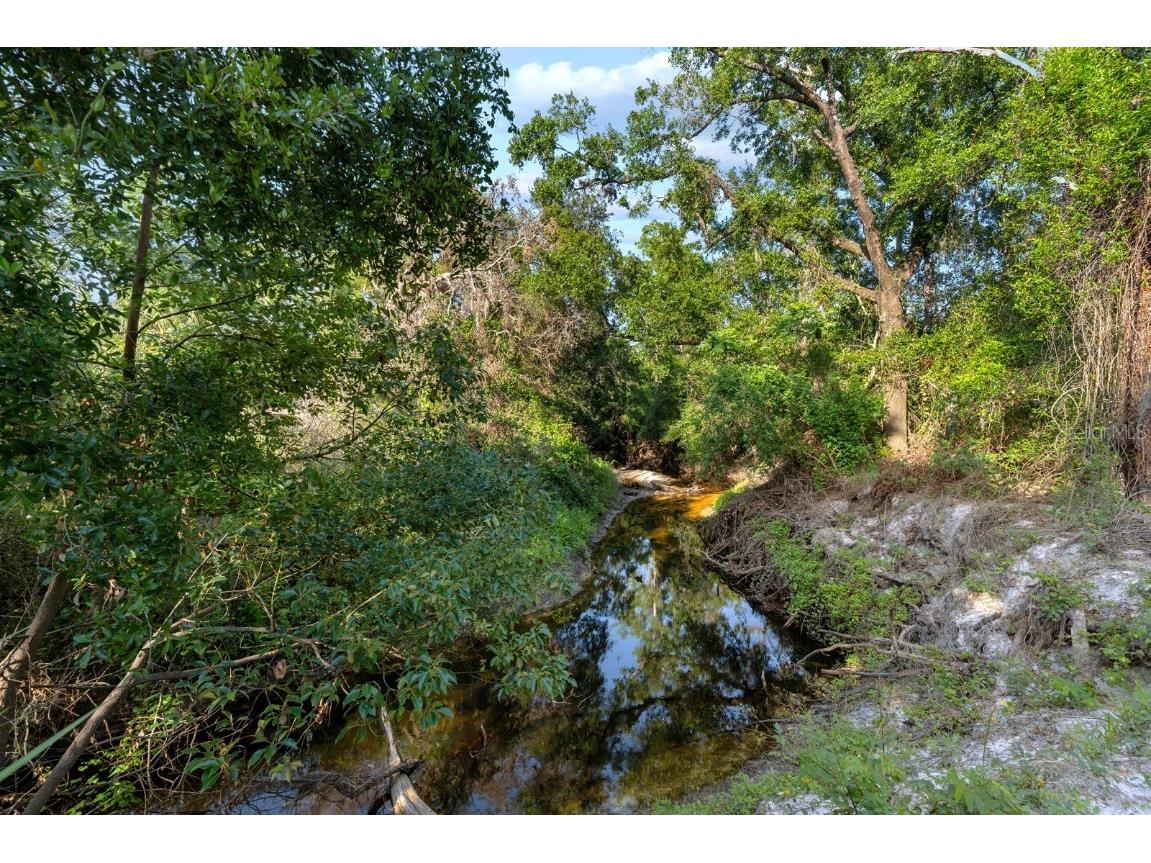 7705 Gardner Road Tampa FL 33625 TB8390525 image42