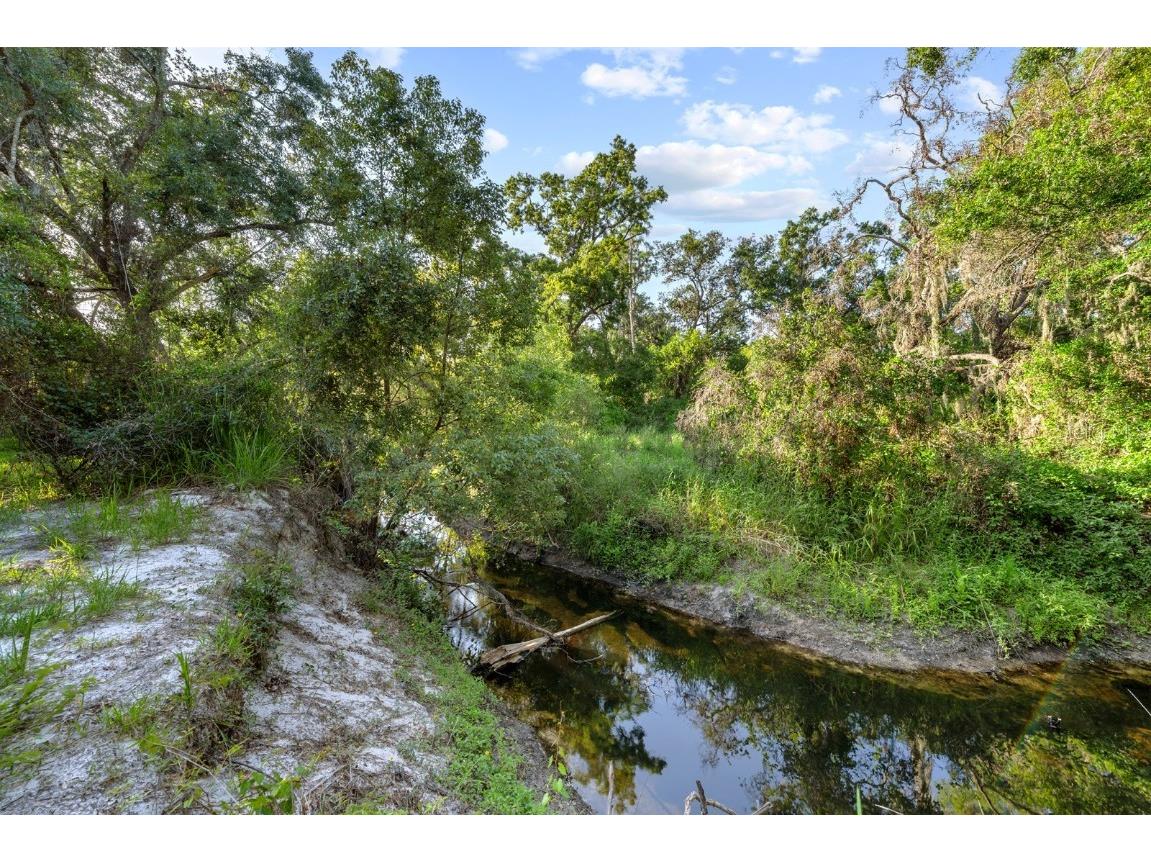 7705 Gardner Road Tampa FL 33625 TB8390525 image43