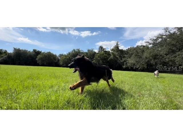 7705 Gardner Road Tampa FL 33625 TB8390525 image44