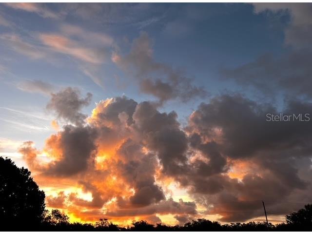 7705 Gardner Road Tampa FL 33625 TB8390525 image45