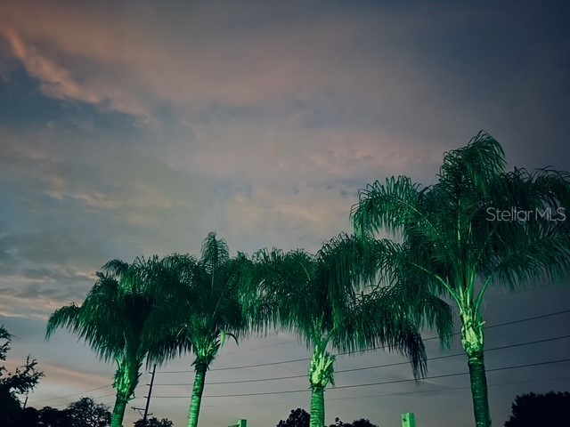 7705 Gardner Road Tampa FL 33625 TB8390525 image47