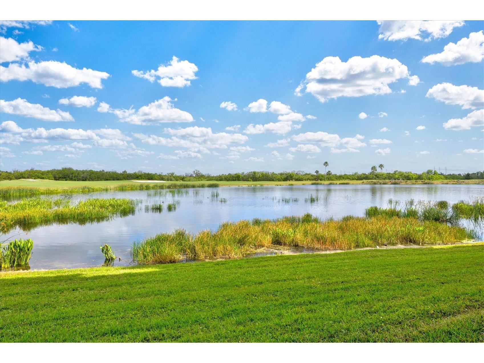 7705 Grand Estuary Trail #102 Bradenton FL 34212 A4676435 image5