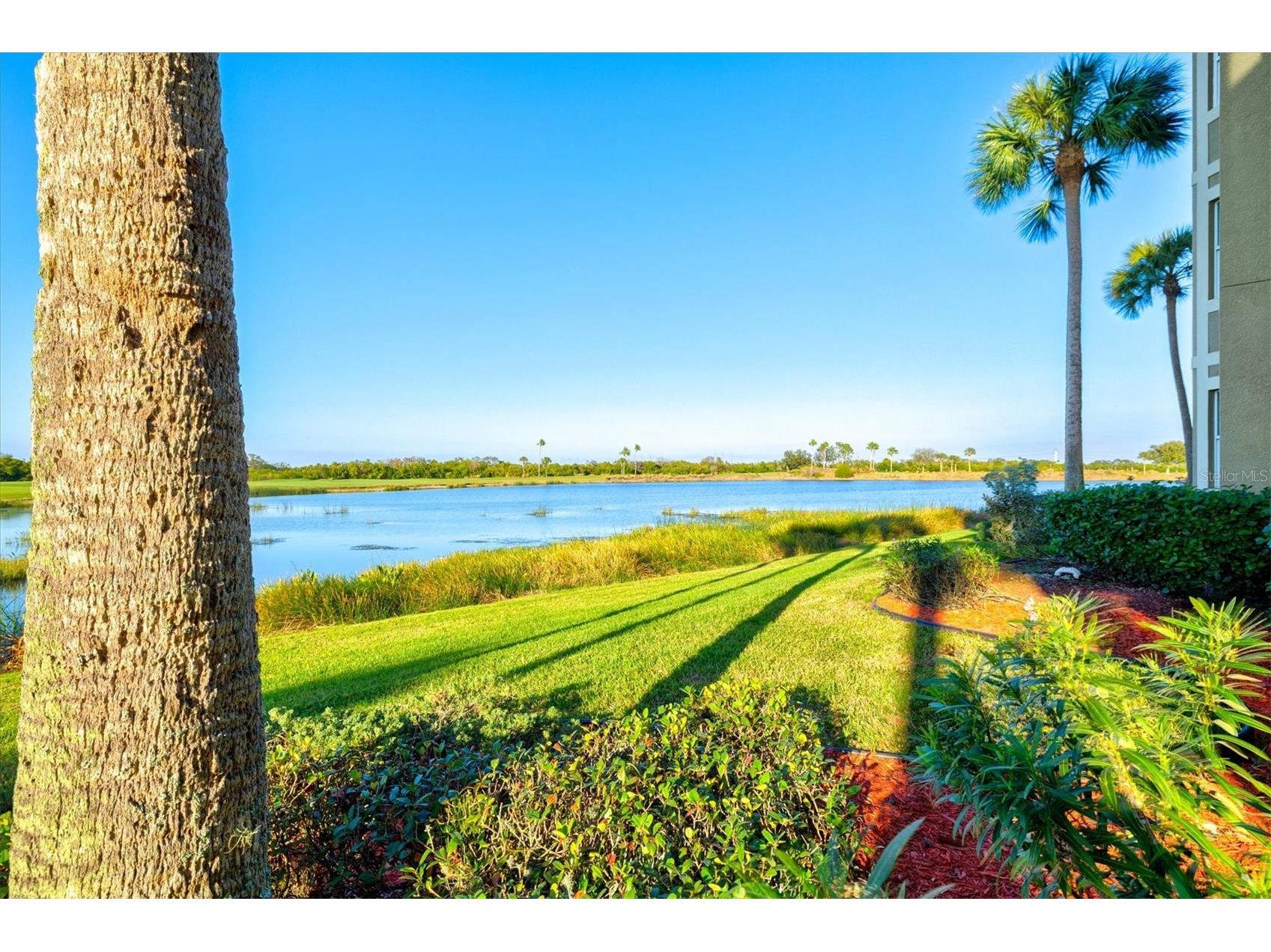 7705 Grand Estuary Trail #102 Bradenton FL 34212 A4676435 image6