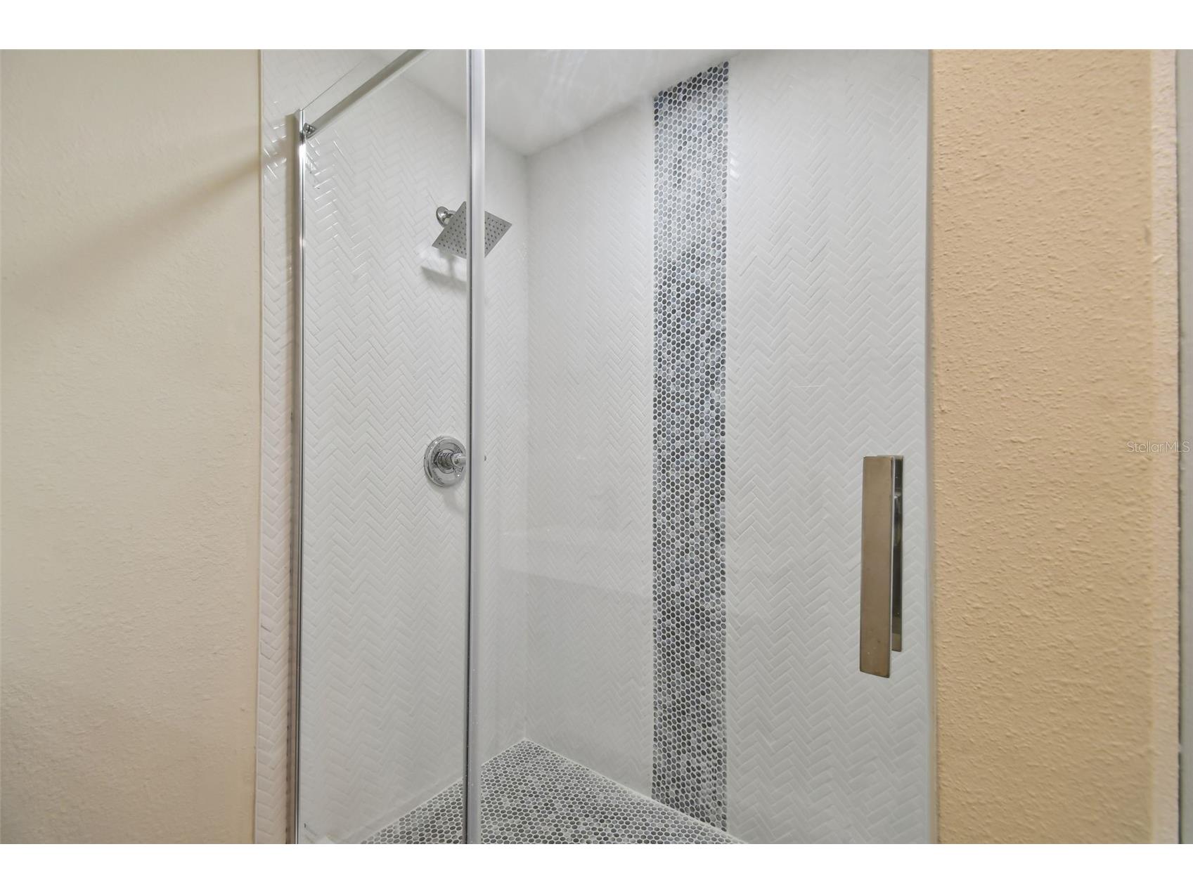 7705 N Arden Avenue Tampa FL 33604 TB8528482 image7