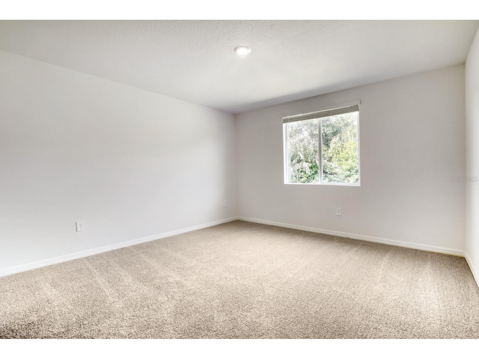 7705 Satterfield Terrace Parrish FL 34219 TB8531822 image17