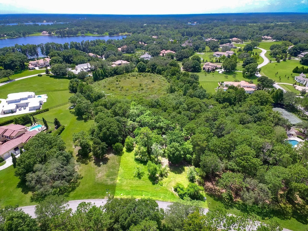 7705 Still Lakes Drive Odessa FL 33556 T3354748 image1