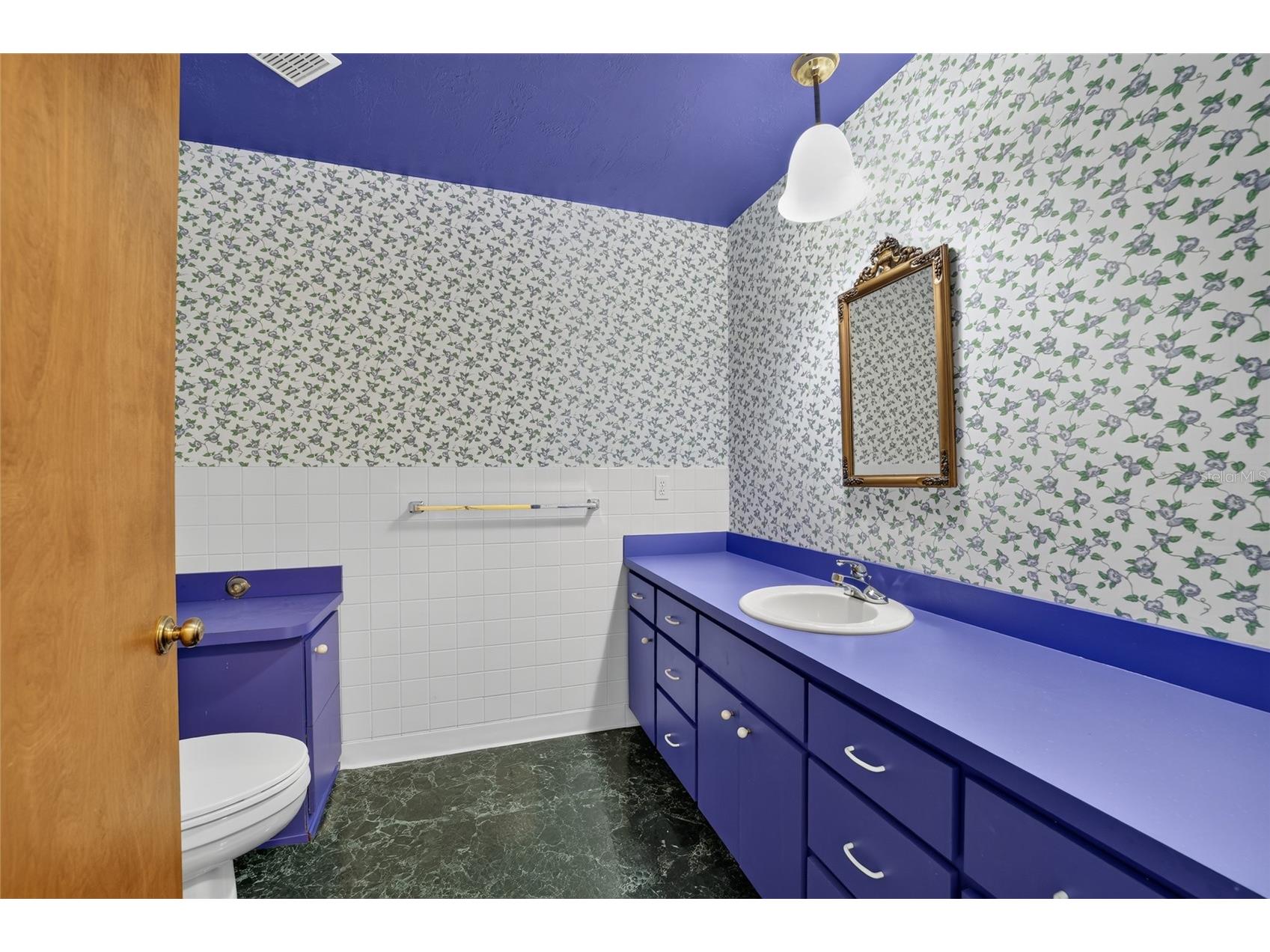 7705 SW 186 Avenue Dunnellon FL 34432 - THE RAINBOW RIVER OM727171 image15