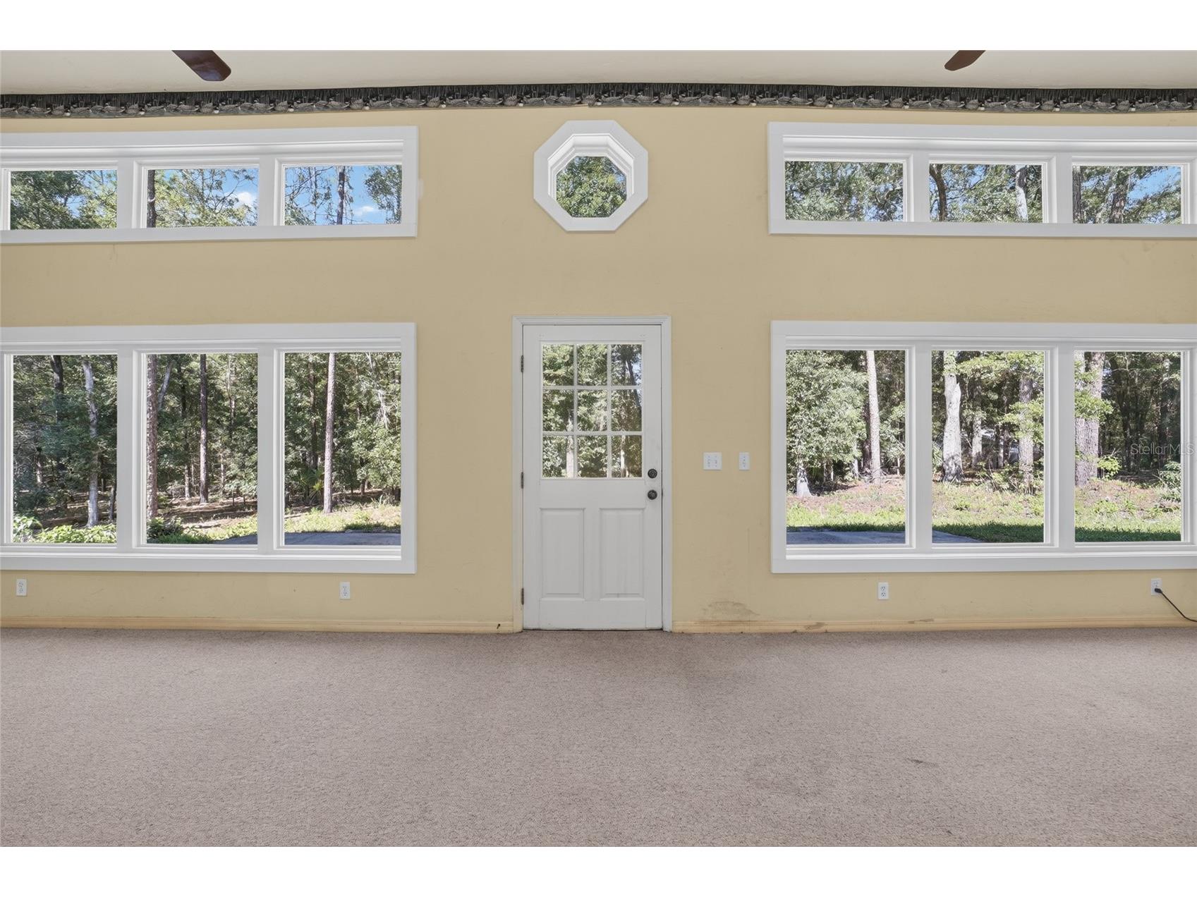 7705 SW 186 Avenue Dunnellon FL 34432 - THE RAINBOW RIVER OM727171 image37