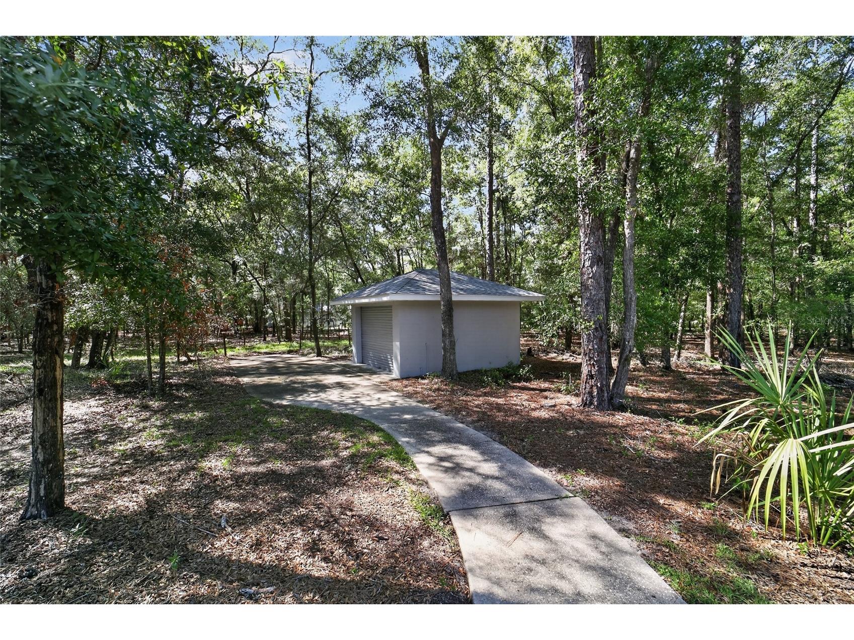 7705 SW 186 Avenue Dunnellon FL 34432 - THE RAINBOW RIVER OM727171 image8