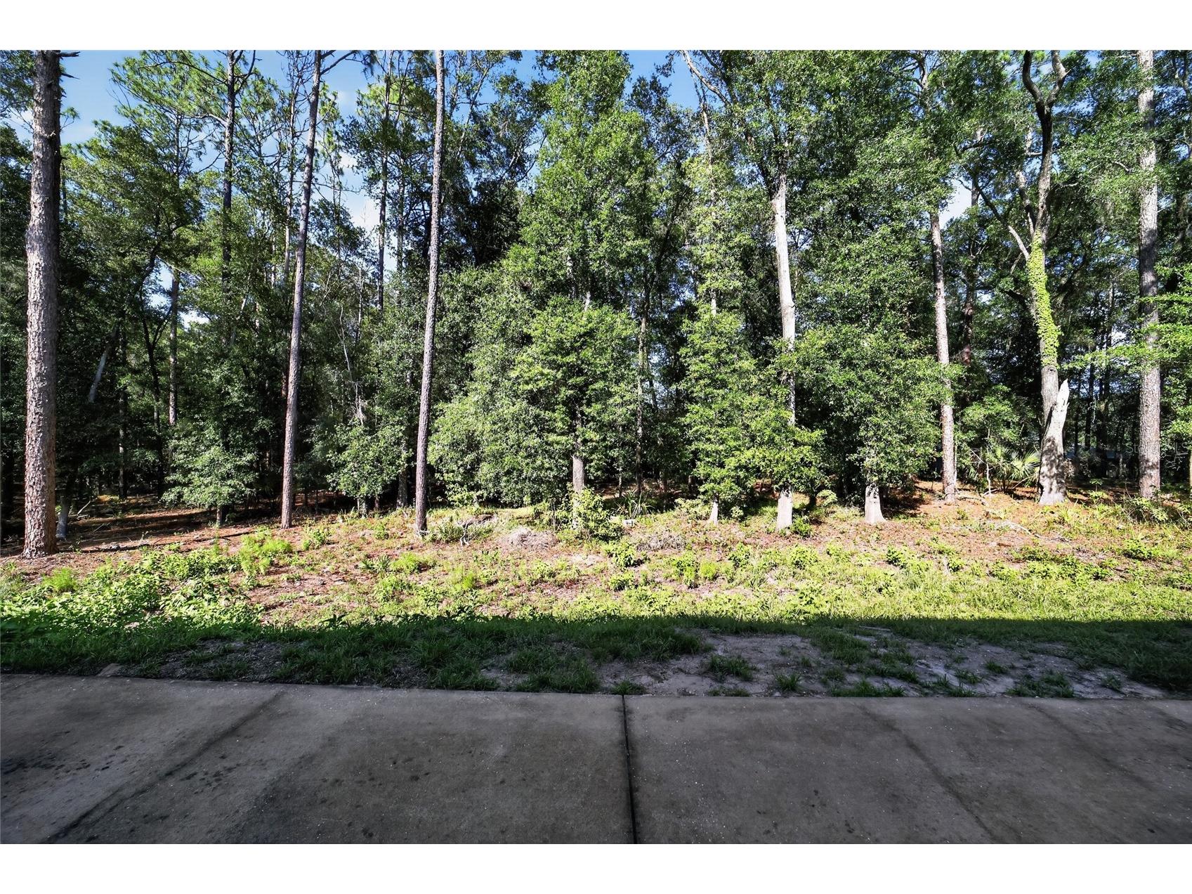 7705 SW 186 Avenue Dunnellon FL 34432 - THE RAINBOW RIVER OM727171 image88