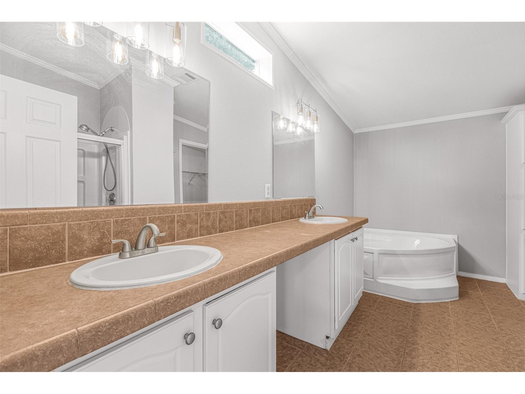 7706 23rd Street Zephyrhills FL 33540 TB8485402 image13
