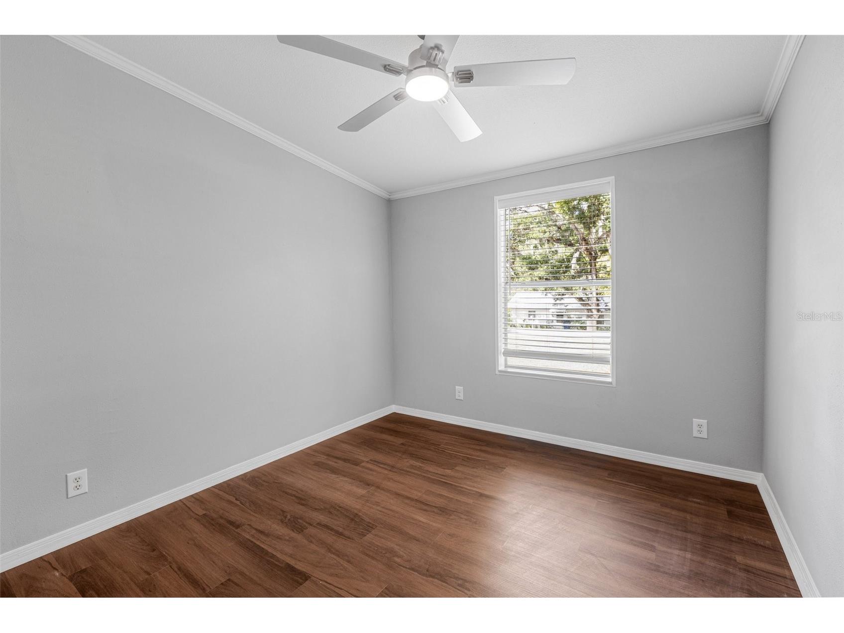 7706 23rd Street Zephyrhills FL 33540 TB8485402 image16