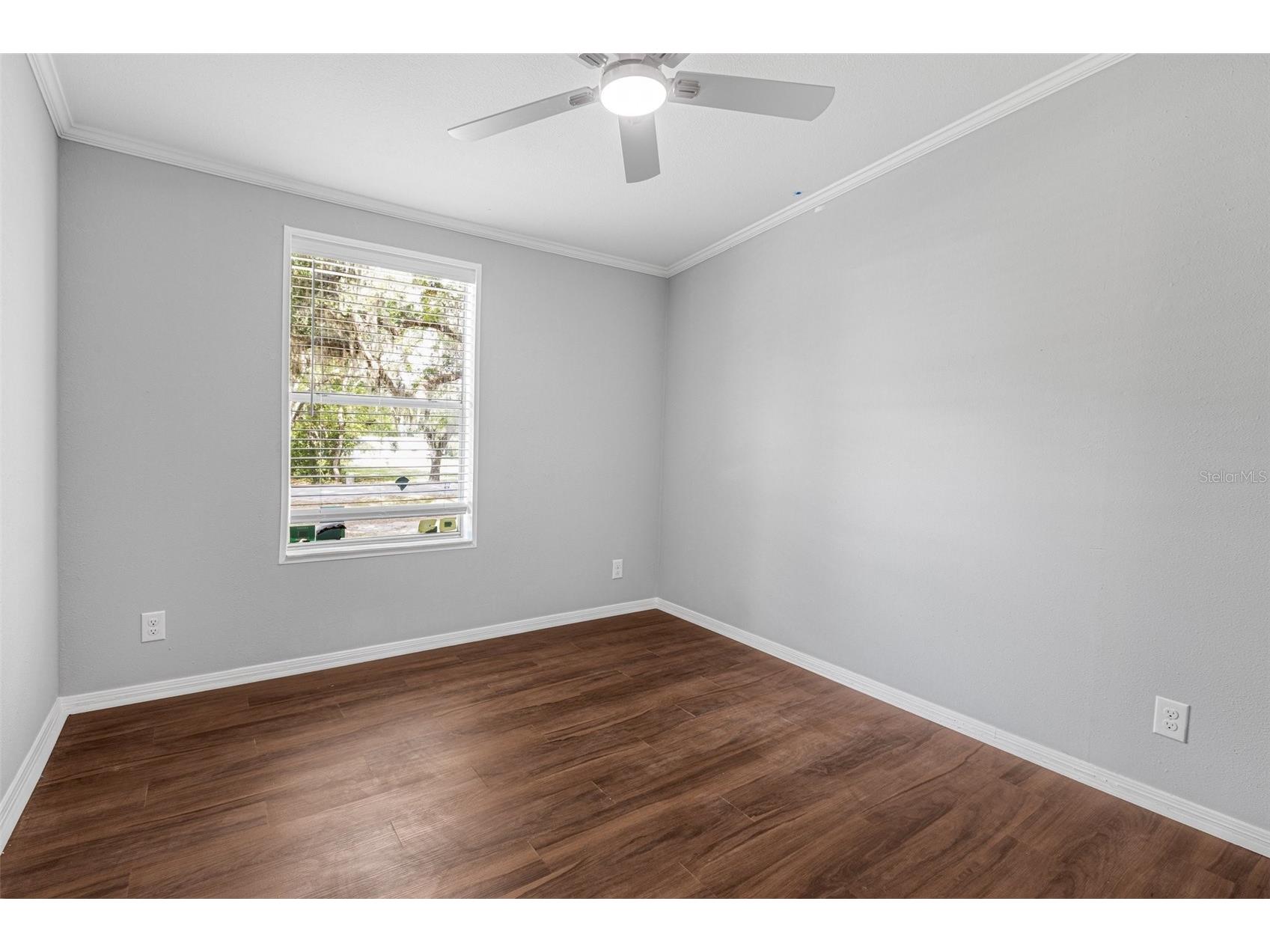 7706 23rd Street Zephyrhills FL 33540 TB8485402 image18