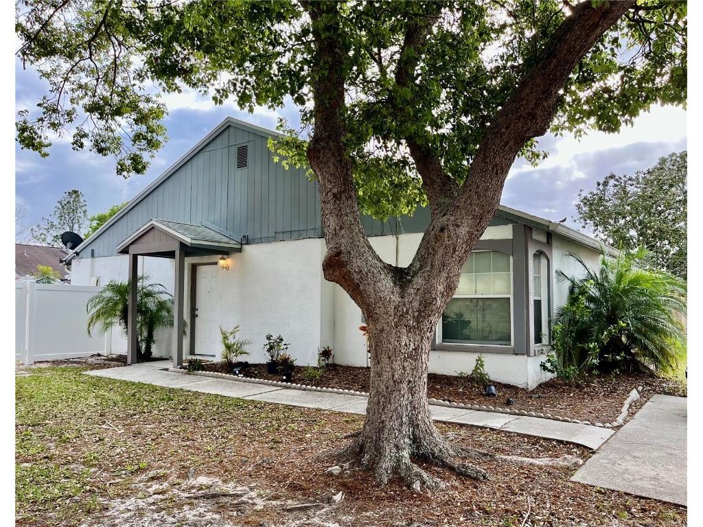 7706 Citrus Field Court Tampa FL 33625 T3513886 image1
