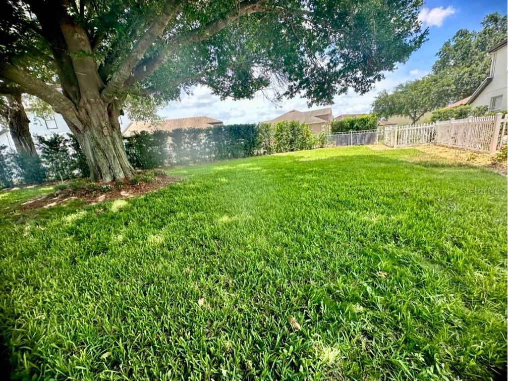7707 Horse Ferry Road Orlando FL 32835 O6421985 image57