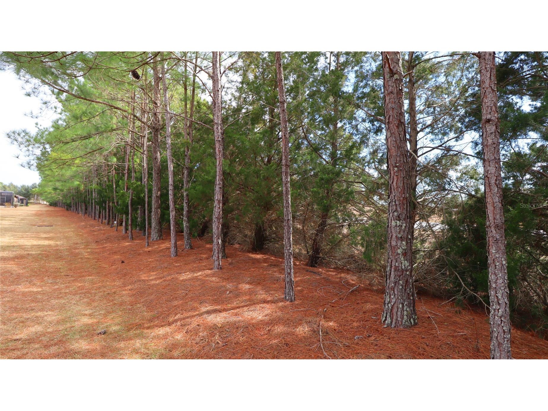 7707 SW 94th Circle Ocala FL 34481 OM718424 image28