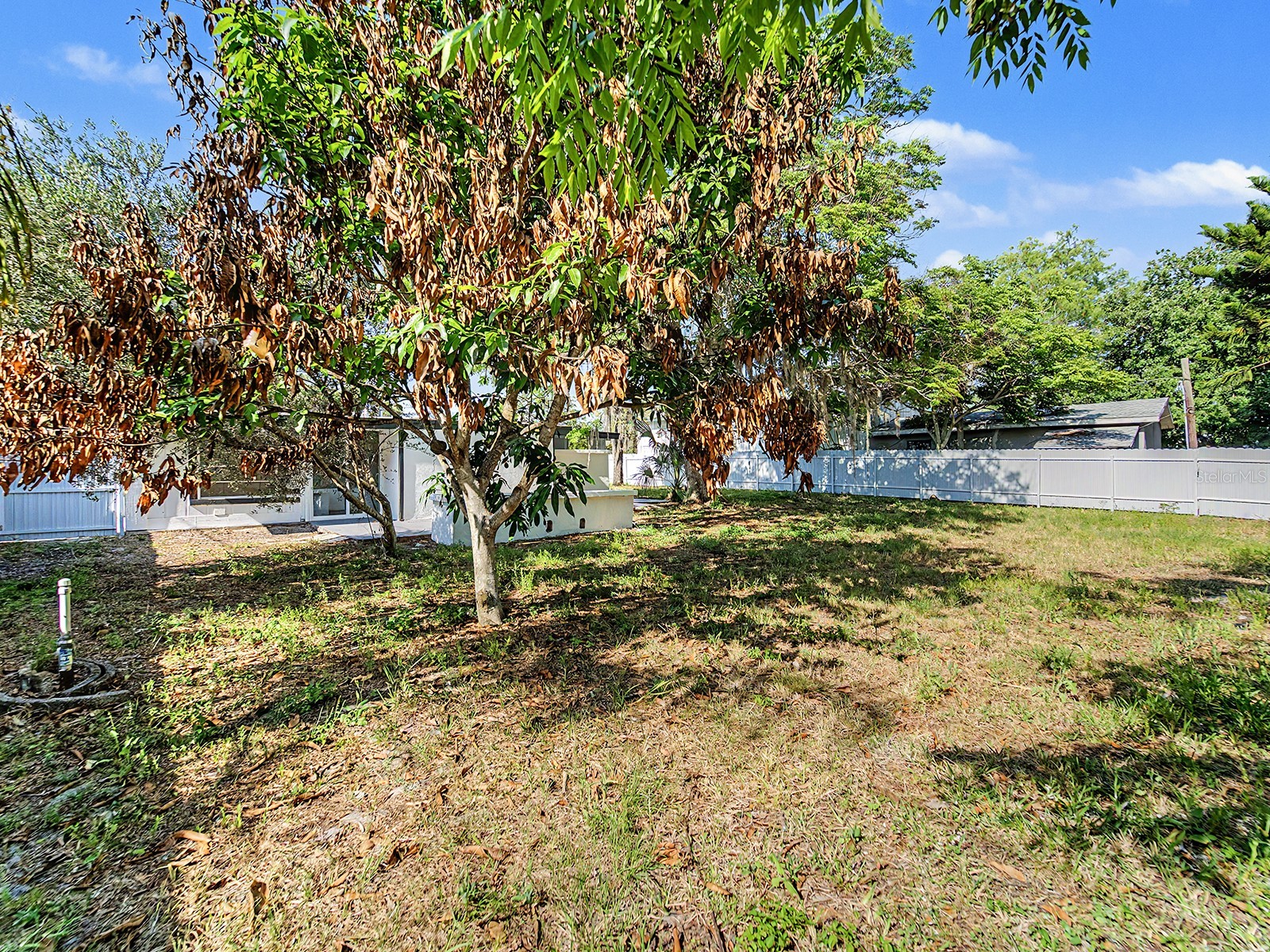 7708 Maryland Avenue Hudson FL 34667 TB8524347 image54